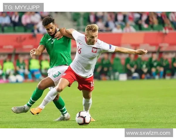 匈牙利现代足球明星的崛起与成就探讨